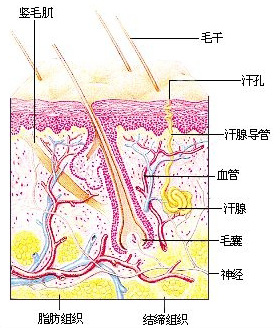 几岁的孩子可以做腋臭手术