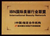 IBN美丽行业联盟制定合作机构