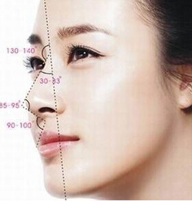 “尹氏全鼻定制”的美鼻标准
