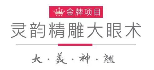 爱思特单眼皮脱单季——灵韵精雕大眼术(特价)