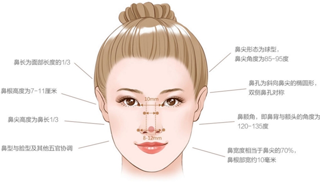 桂林医学院附属医院整形科隆鼻手术