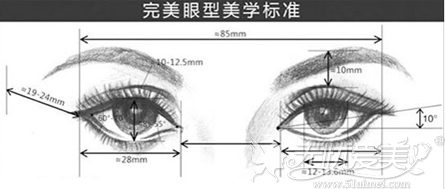 综合标准眼部处理双眼皮