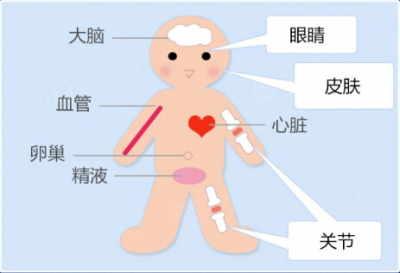 安康蝶姿玻尿酸注射 还你年轻肌肤