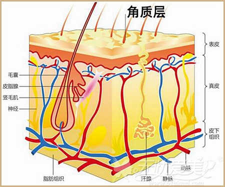 长沙雅美对于角质层薄的皮肤治疗