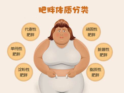 肥胖有很多种类和成因
