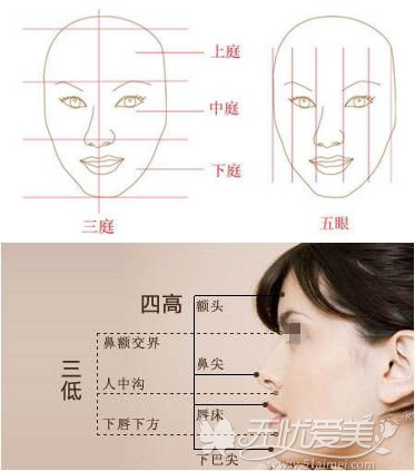 单项调整已过时 上海伊莱美面部比例综合调整打造完美脸型