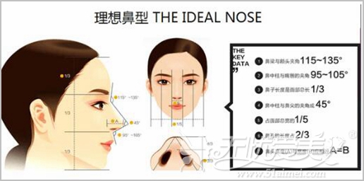 湘潭春天鼻部整形手术的美鼻标准