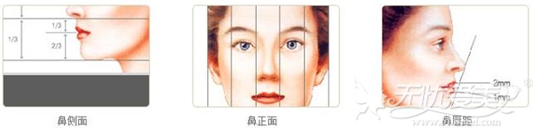 南京维多利亚鼻整形遵循的美学标准