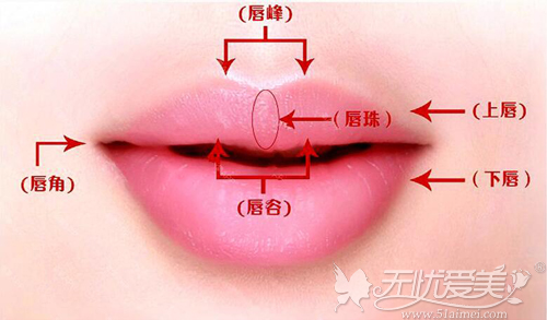 广西南宁梦想注射丰唇 这个牌子的玻尿酸打造嘟嘟唇