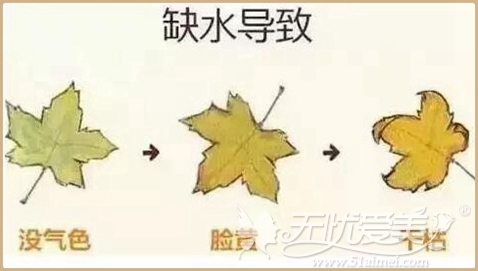 保定秋季整形优惠