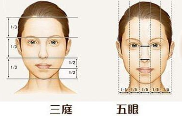 北京世熙隆鼻修复手术美学标准