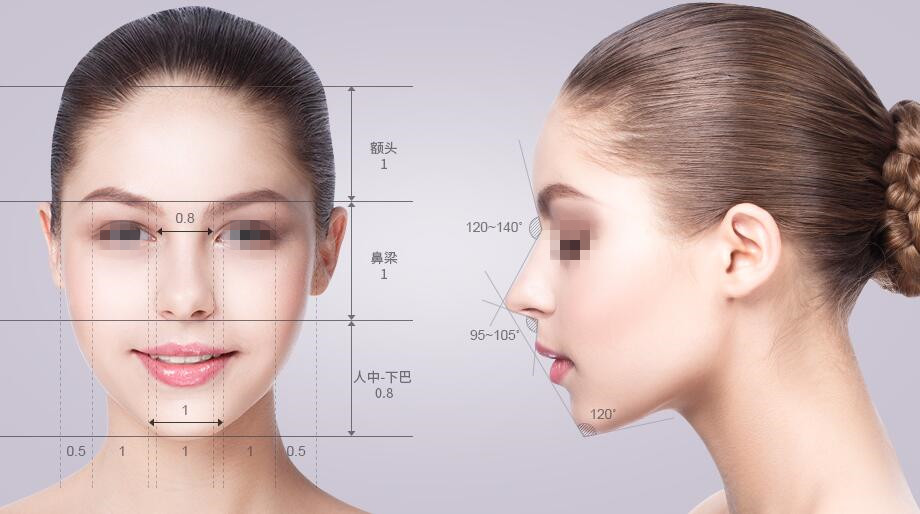 韩国宝士丽鼻综合手术美学标准