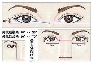 双眼皮手术美学