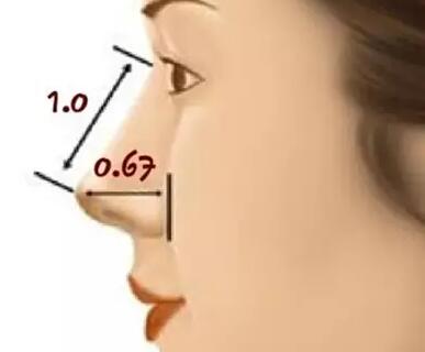 隆鼻美学标准