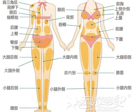上海星采吸脂手术适合部位