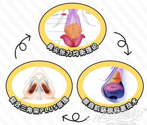 韩妃4D模拟隆鼻技术