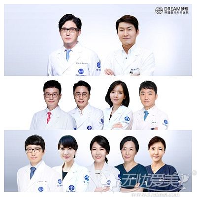 韩国梦想整形医疗团队