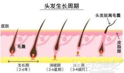 面对脱发问题 常德中肤为你解决一种常见的脱发斑秃