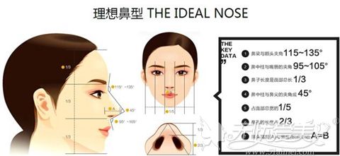 从田秋梅的鼻综合介绍中了解北京愉悦医疗美容医院好不好