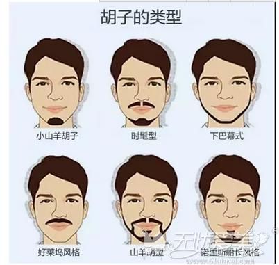 胡须的各种类型
