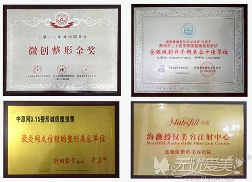张朝蕾整形获得的荣誉证书