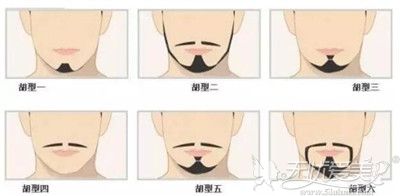 不同的胡须适合不同的脸型