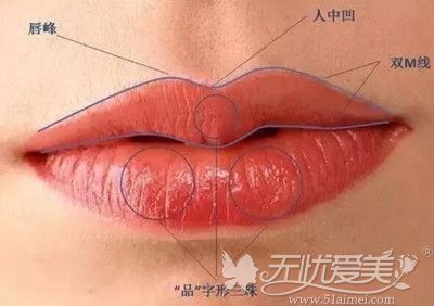 M唇改善的部位和方法