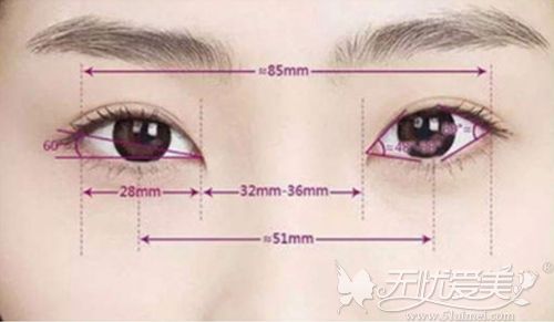眼综合手术美学设计标准