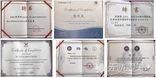 杨硕成医生获得的证书认证