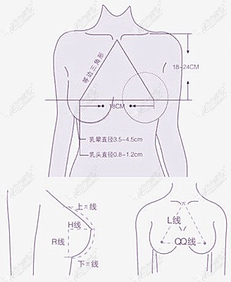 假体隆胸手术医生设计乳房的美学标准