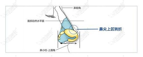 南京鼻祖的赵联阁做鼻子的价格