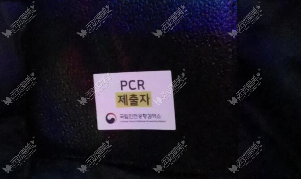 护照上贴“PCR提交者”