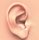 张正文的小耳再造实例图片分享:他用的半包耳修复技术靠谱